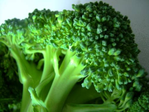 broccolism