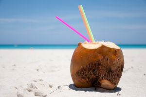 coconut-on-the-beach-1212573-m