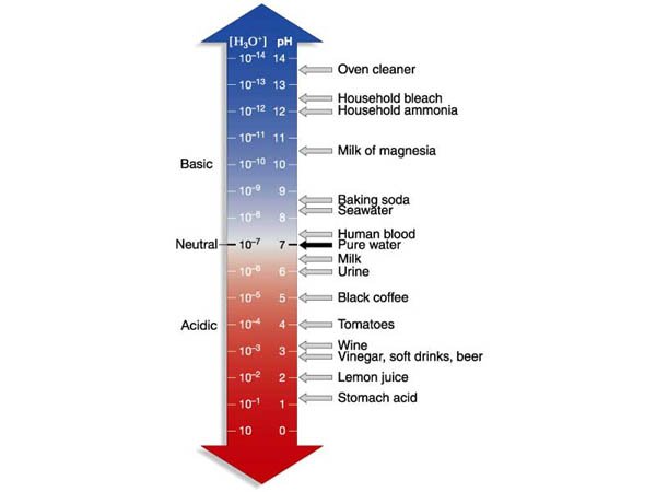 ph scale